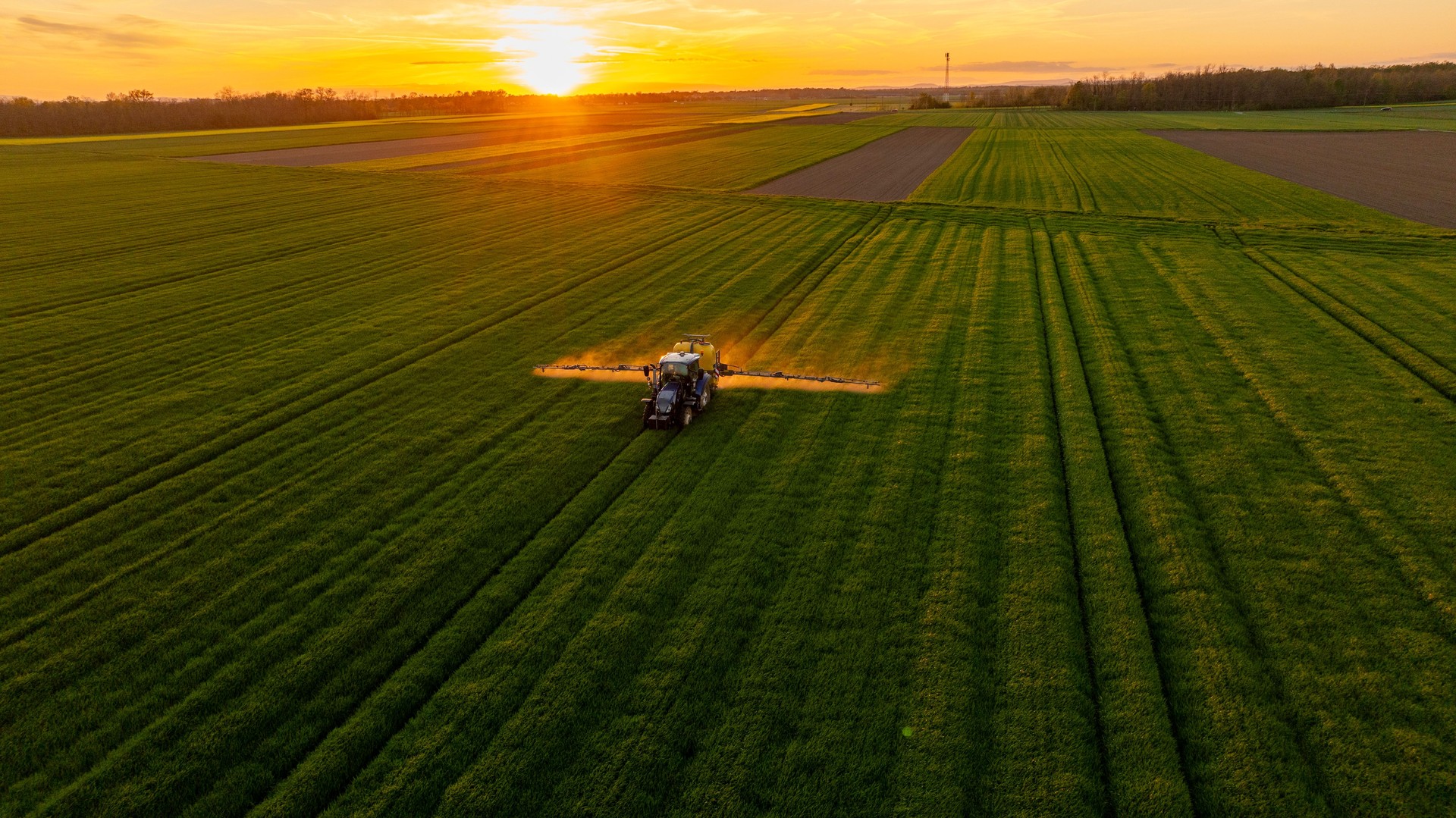 Tractor Fertilizing Vast Agricultural Field During Golden Sunset